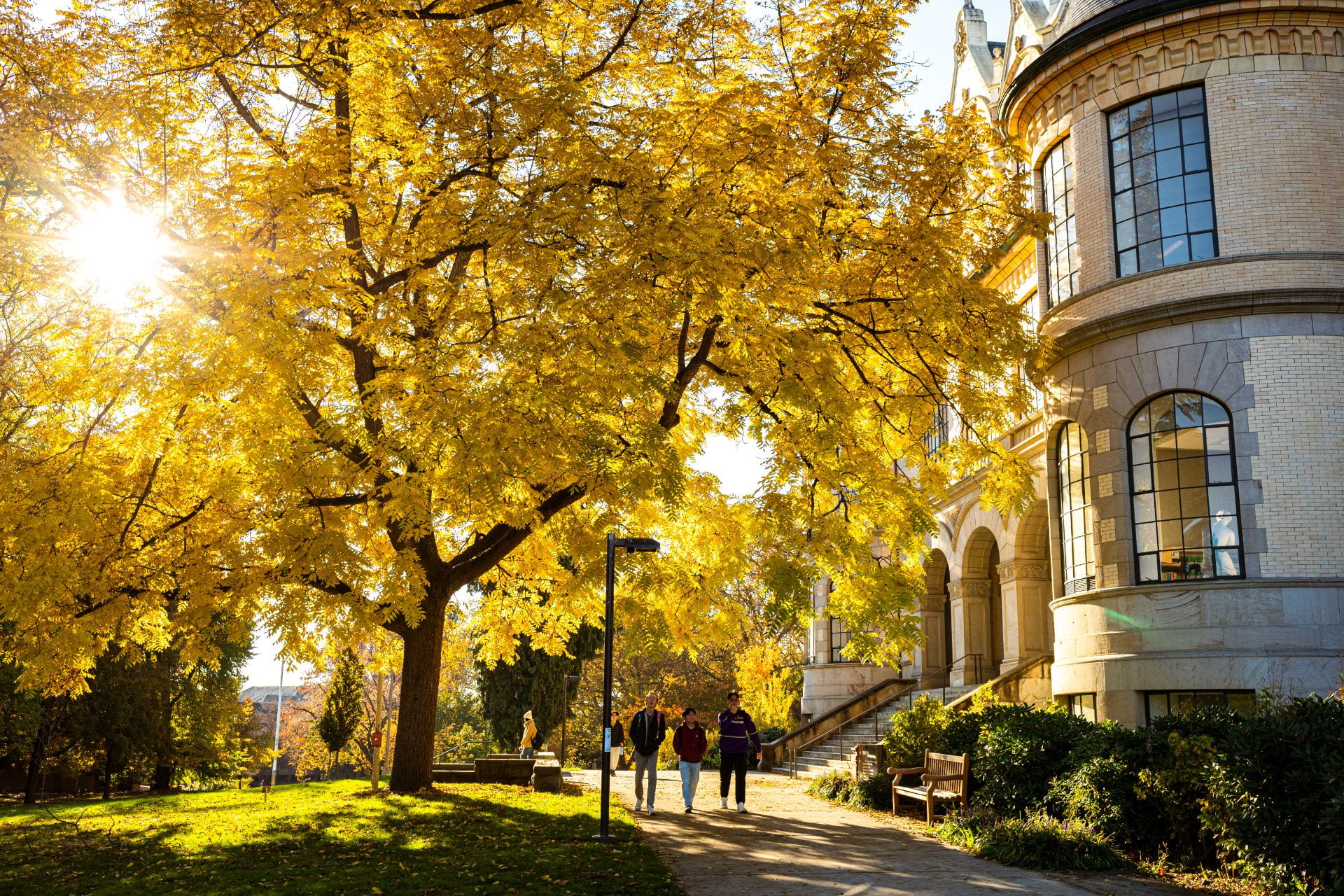 A fall scene with autumnal colors on UW's Seattle campus.