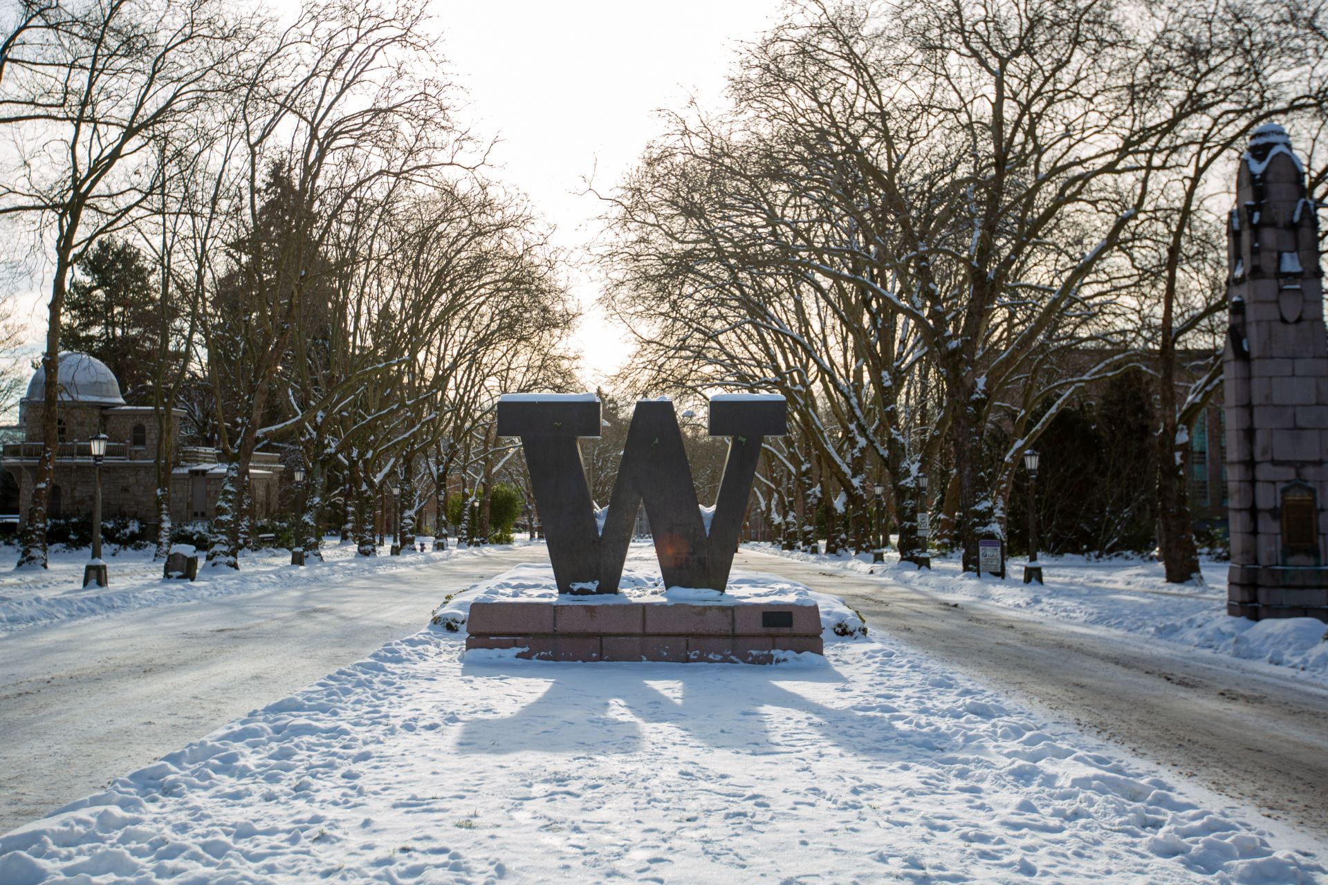 A UW "Block W" surrounded by snow.