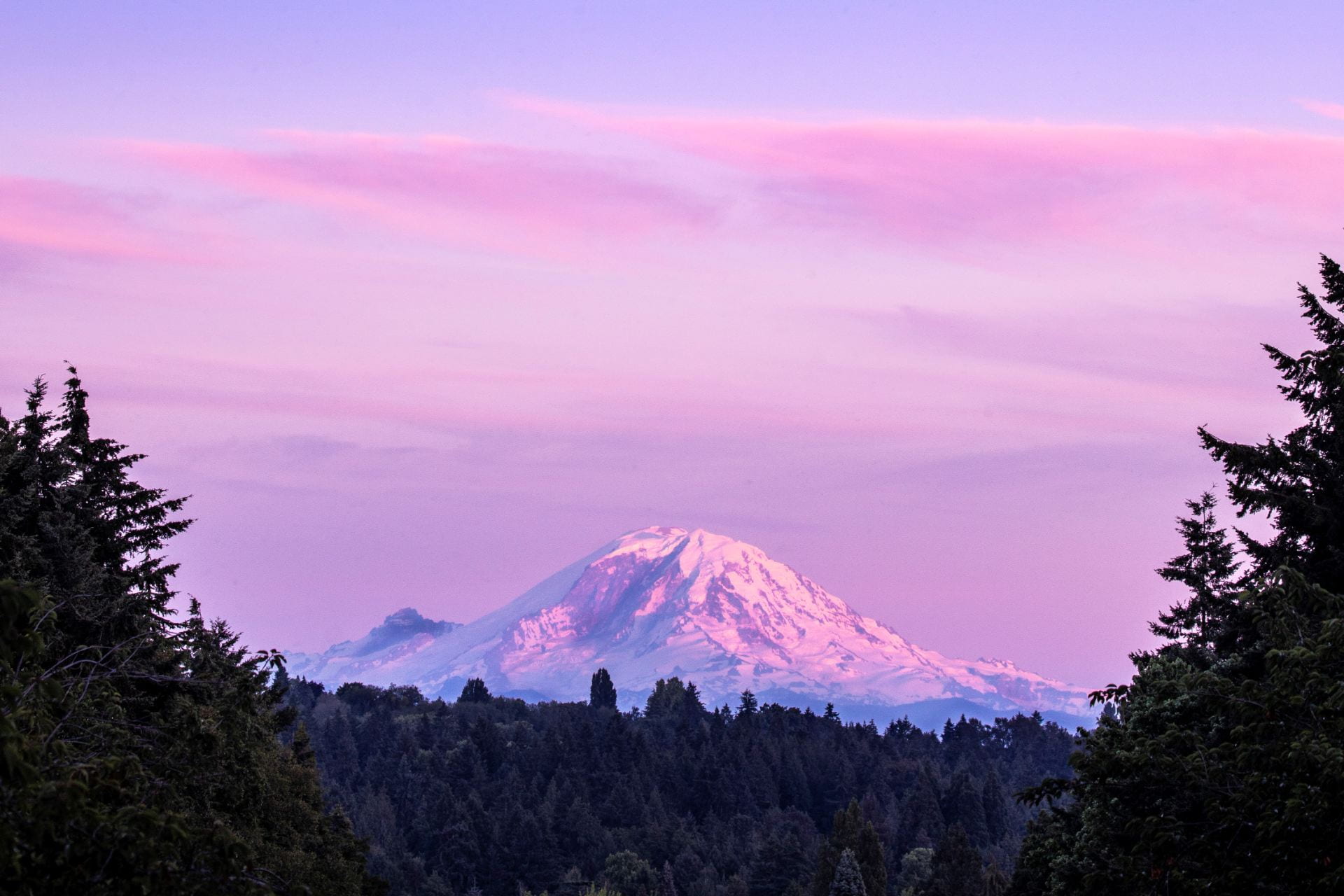 Mount Rainier (Tahoma) at sunset, looking south from UW Seattle.