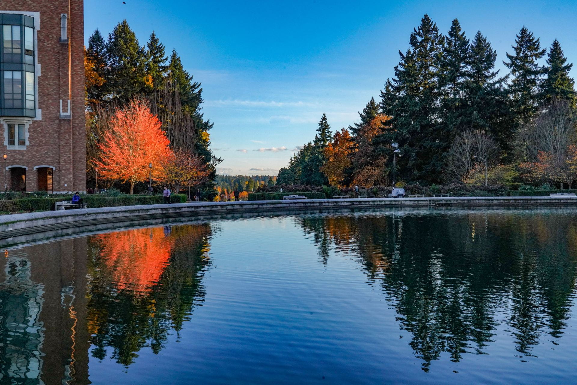 Drumheller Fountain's pool looking south toward the Rainier Vista with evergreen trees amid fall foliage.